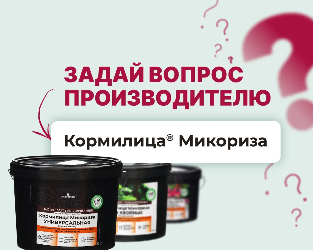 Кормилица Микориза - ждем ваши вопросы!